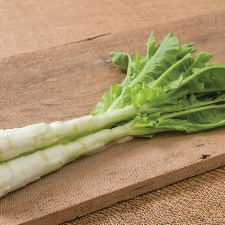 image of Celtuce collection