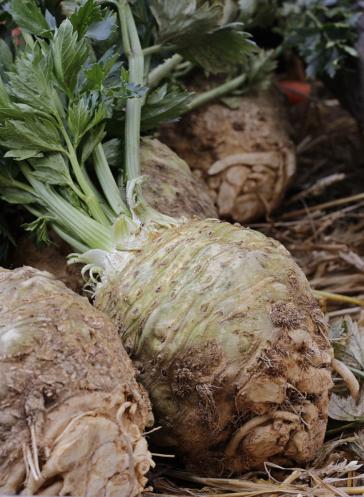 image of Celeriac collection