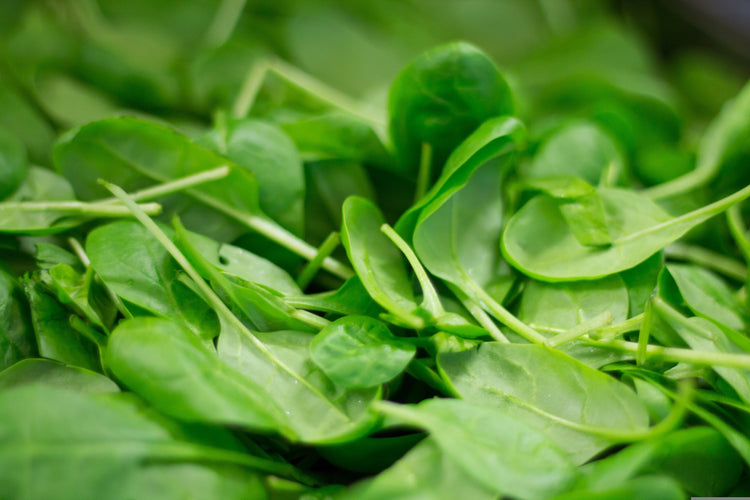 image of Spinach collection