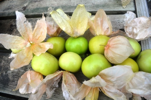 image of Tomatillo collection