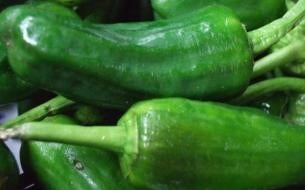 picture of Chilli Padron