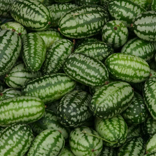 Cucamelon