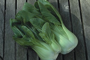 picture of Oriental Pak Choi Hanakan F1