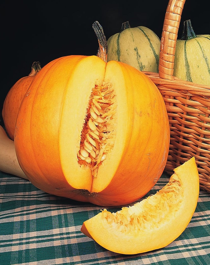 Pumpkin Jack O Lantern