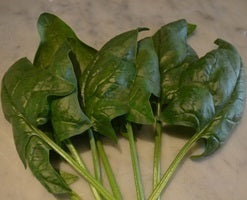 picture of Spinach Acadia F1 naturally nurtured seed