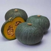 picture of Squash Blue Kuri