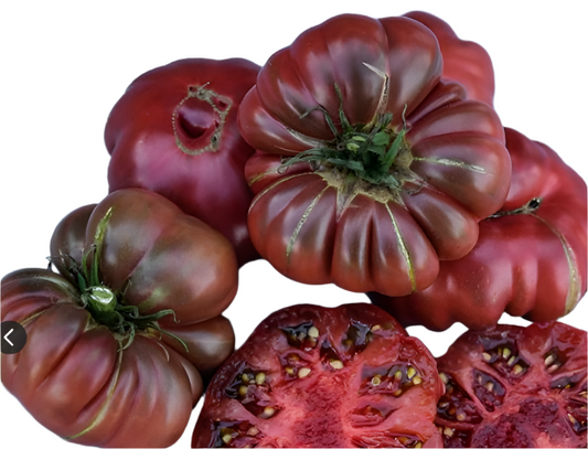 Tomato Purple Calabash