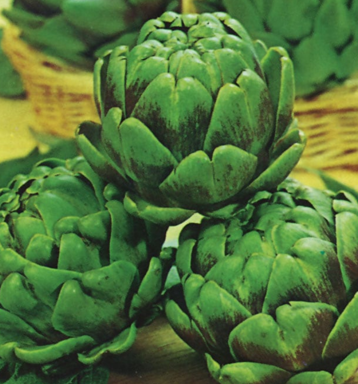 Artichoke Green Globe Improved