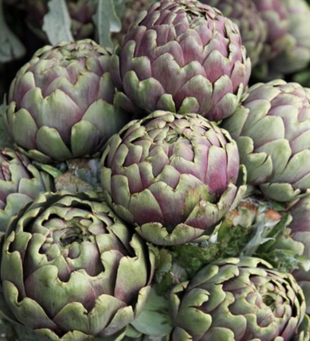 Artichoke Romanesco