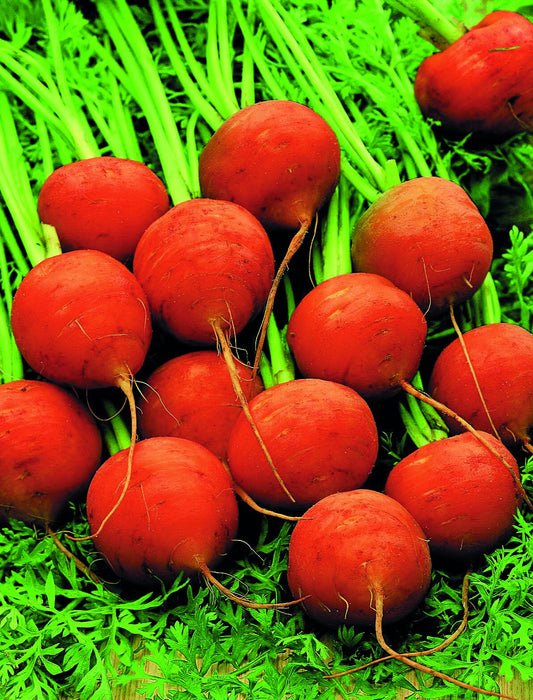 Carrot Paris Market Atlas