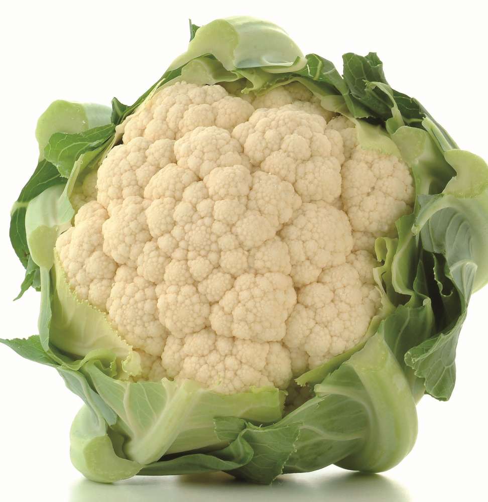 picture of Cauliflower Atalaya F1