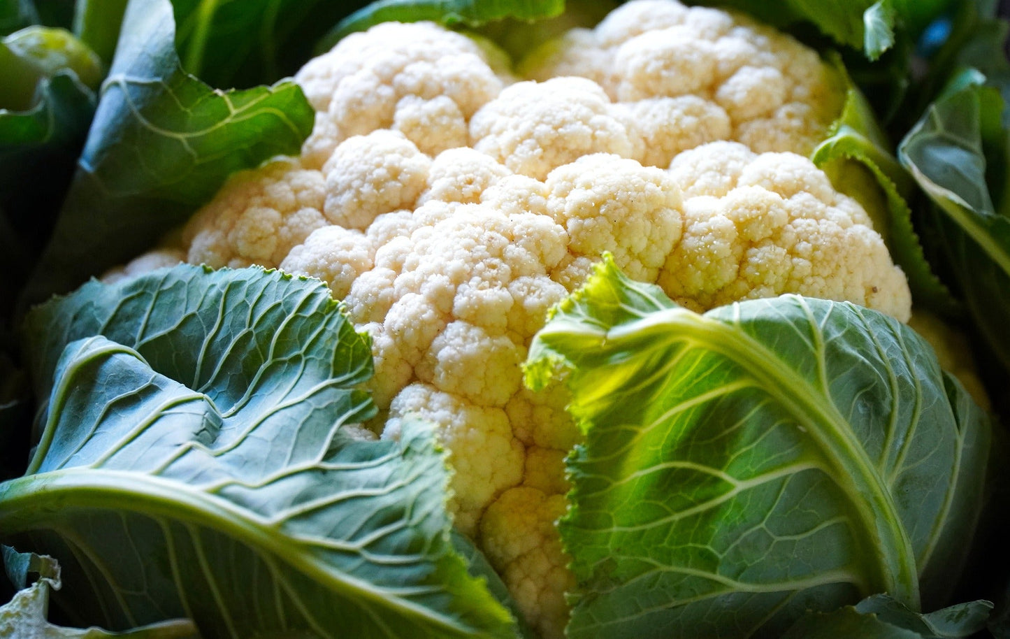 Cauliflower Ace High