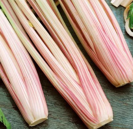 Celery Peppermint Stick