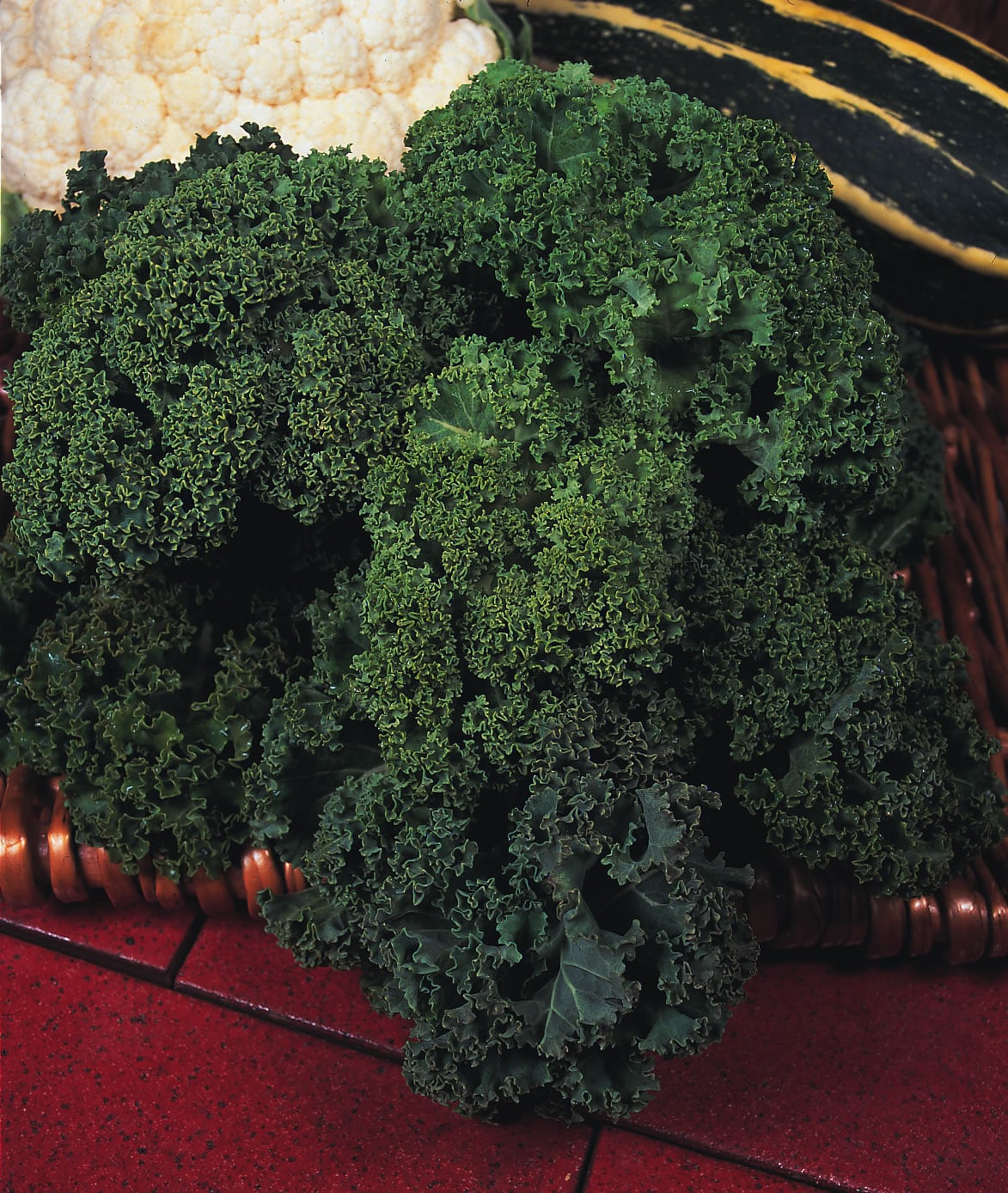 Kale Westland Winter