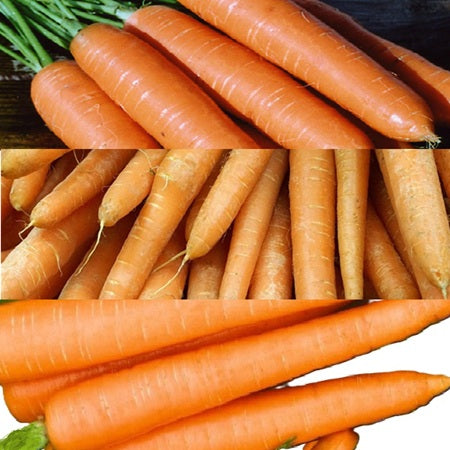 Lush Late Carrot Collection