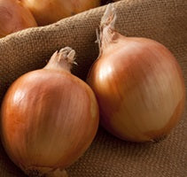 ONION TRIO 2026