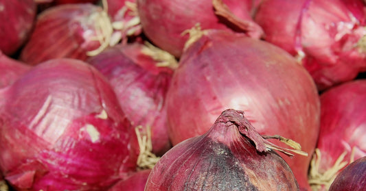 Onion Red Amposta