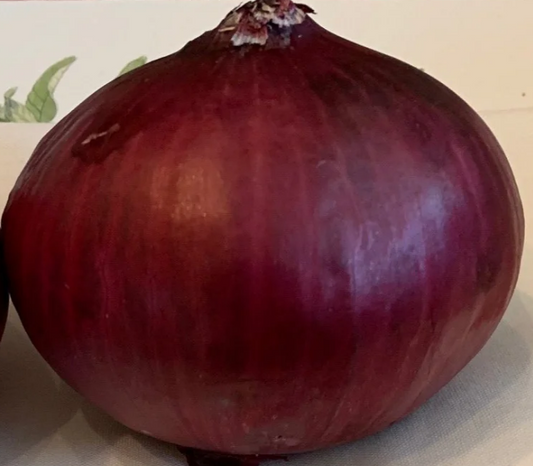 Onion Red Creole