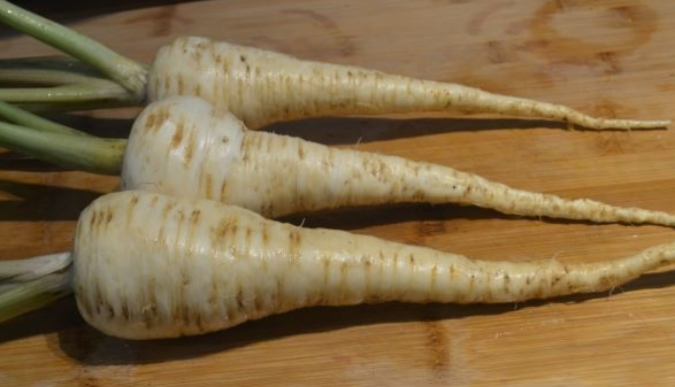 Parsnip Everton