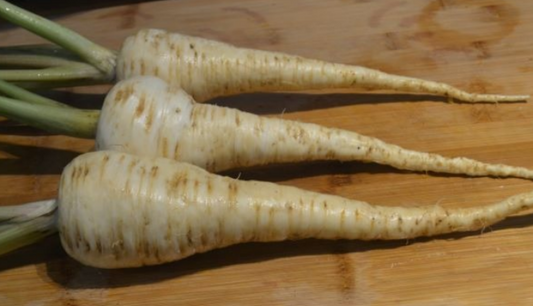 Parsnip Everton