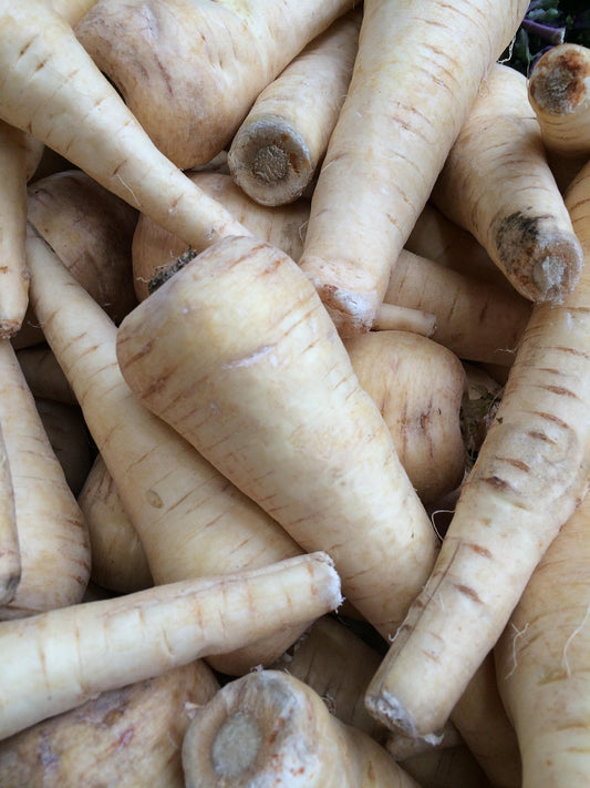 Parsnip Guernsey