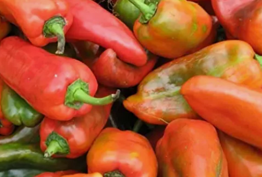 Pepper Aji Dulce