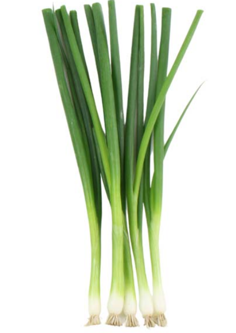 Spring Onion Marksman