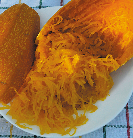 Squash Vegetable Spaghetti