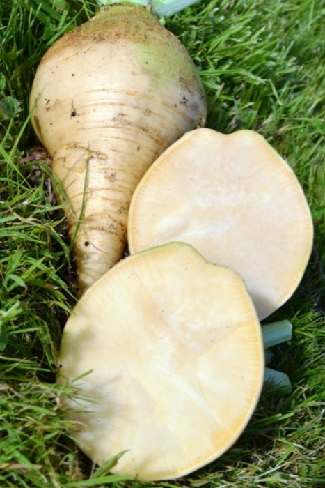 Swede Williamsburger