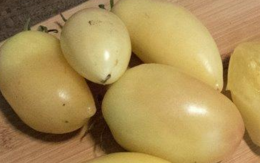 Tomato Cream Sausage