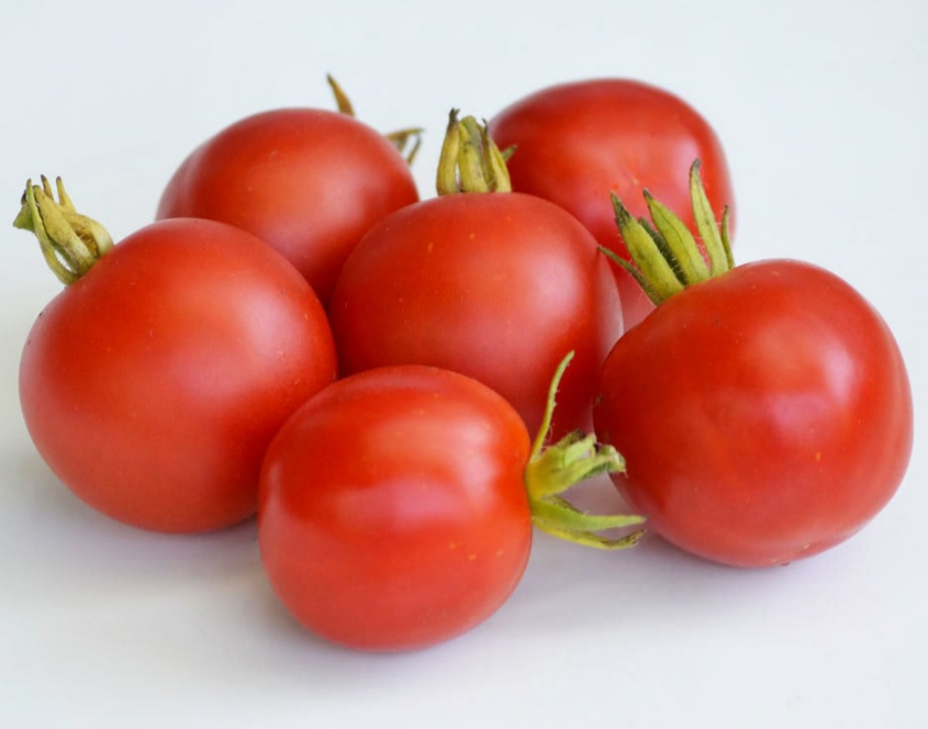 Tomato Outdoor Girl
