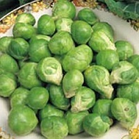 Brussels Sprouts Evesham Special