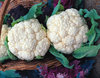 Cauliflower Snowball naturally nurtured seed