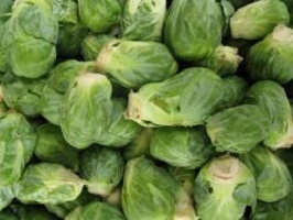 Catskill Brussel Sprouts 