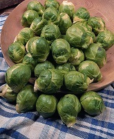 Brussels Sprouts Seven Hills
