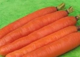 Carrot Karotela
