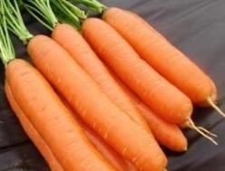 Carrot Darina