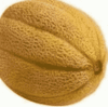 Melon Honey Rock (cantaloupe)