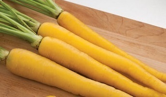 Carrot Yellowbunch F1
