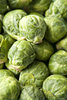 Brussels Sprouts Brilliant F1