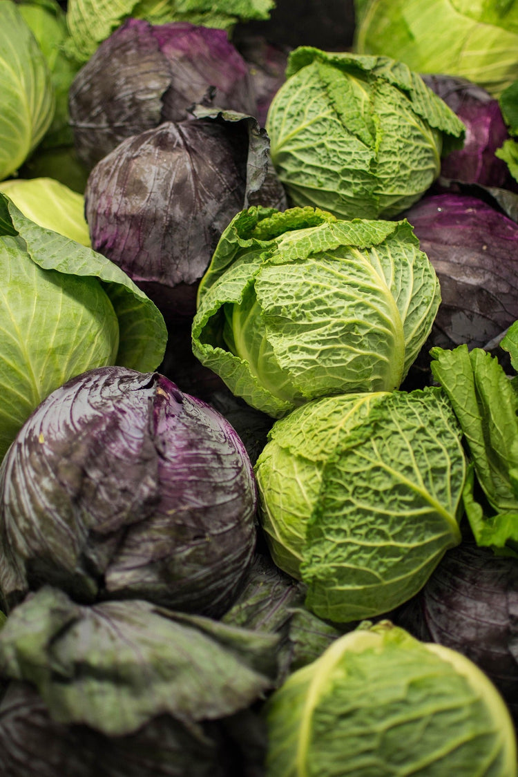 image of Cabbage - all collection