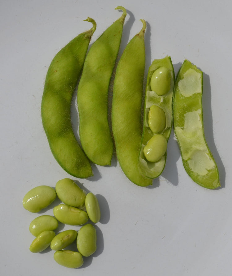 image of Beans Unusual collection