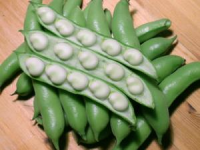 picture of Broad Bean Witkeim Manita