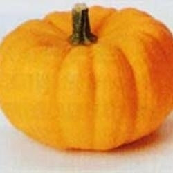 picture of Pumpkin Jack be Little