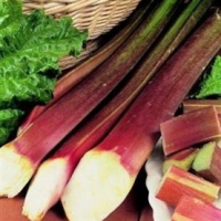 picture of Rhubarb Victoria