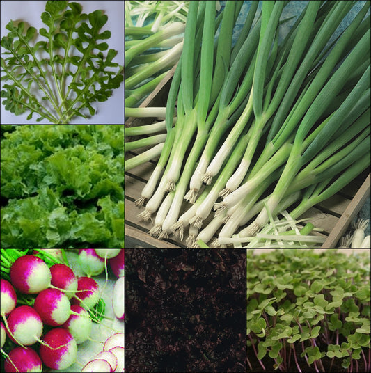 Summer Salads to Sow Now