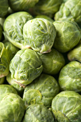 picture of Brussels Sprouts Brilliant F1
