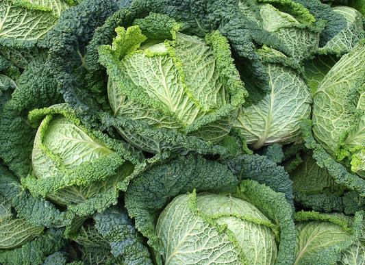 Cabbage Ormskirk
