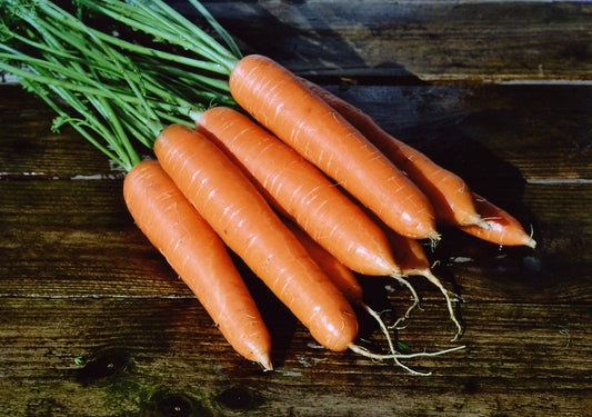 Carrot Eskimo F1