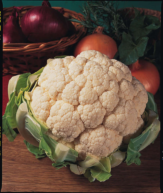 picture of Cauliflower Aalsmeer